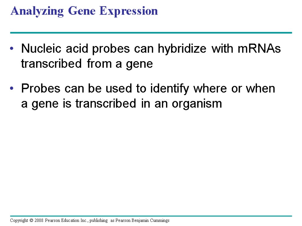 Analyzing Gene Expression Nucleic acid probes can hybridize with mRNAs transcribed from a gene